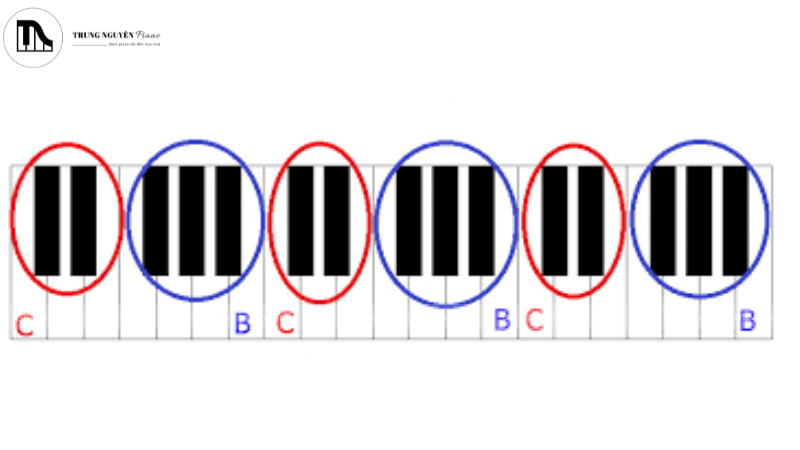 Phím đen trên đàn piano
