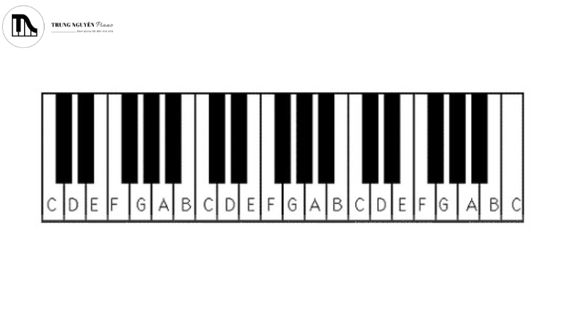 Phím trắng trên đàn piano đại diện cho 7 nốt nhạc cơ bản