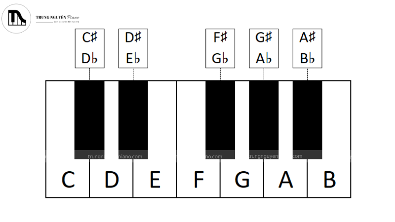 Phím đen trên đàn piano