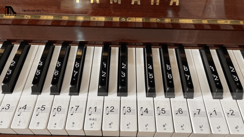 Dán ký hiệu lên phím đàn piano