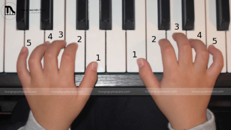 Phương pháp nhớ 1 nốt rồi suy ra nốt đàn khác