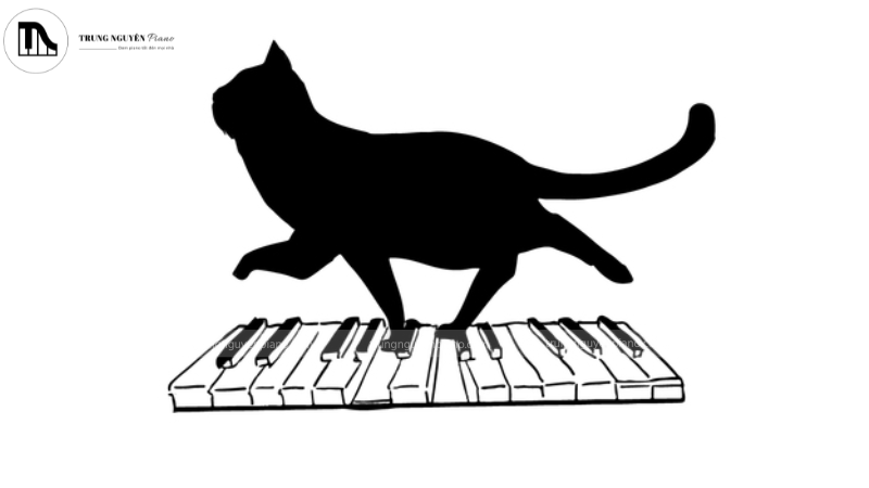 Ghi nhớ nốt nhạc đàn piano bằng phương pháp con mèo đen