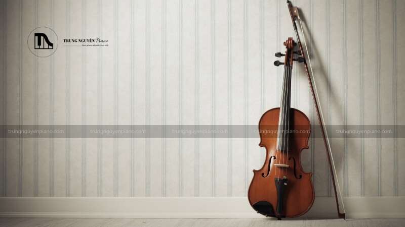 Violin phù hợp hơn với không gian hẹp