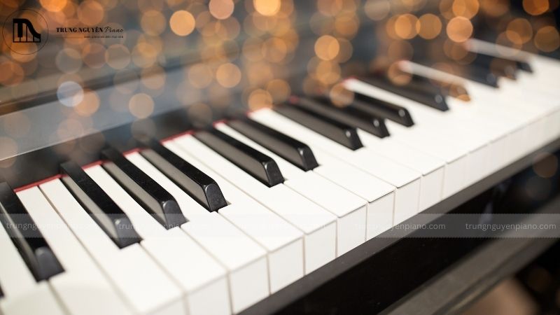 Bài tập thực hành với vòng tròn hợp âm