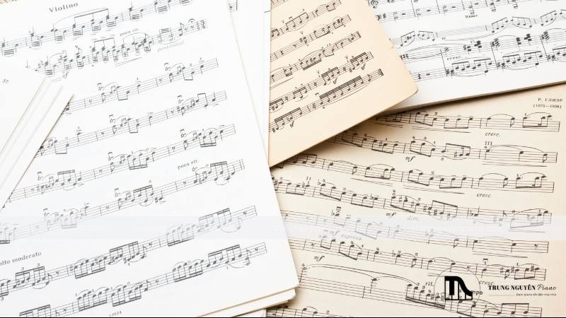 Bao lâu thì có thể đọc được sheet nhạc