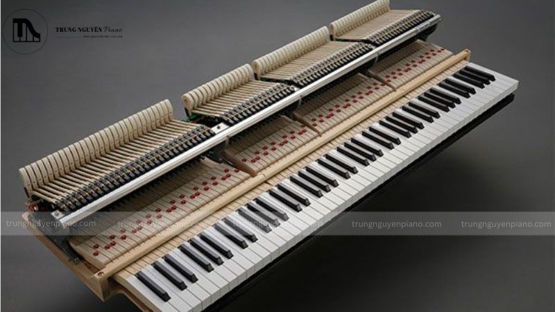 Bộ máy đàn hoàn toàn bằng gỗ, độ nhạy phím caolượng âm thanh