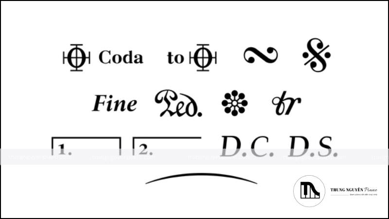 Các Ký Hiệu Nhạc Lý Và Thuật Ngữ Về Dấu Pedal