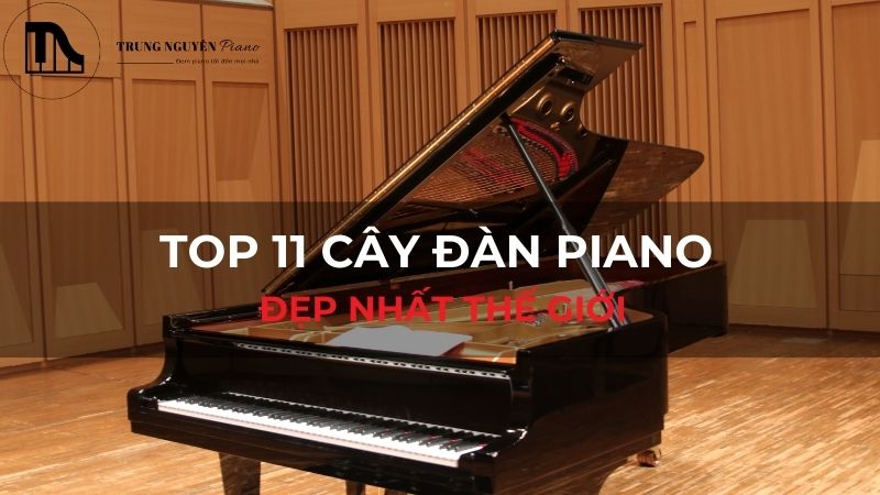 Top 11 cây đàn Piano đẹp nhất thế giới