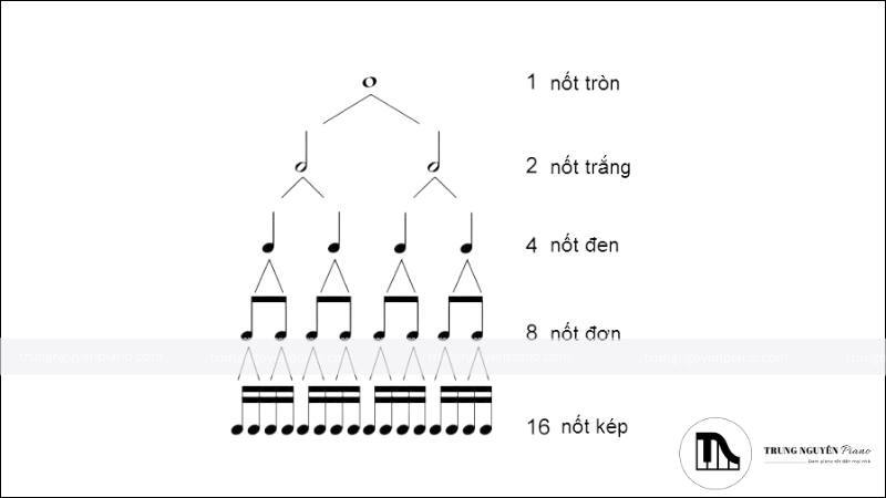Các ký hiệu nhạc lý và thuật ngữ về giá trị nhịp của nốt và ký hiệu dấu nghỉ