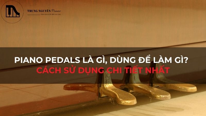 Piano Pedals là gì, dùng để làm gì và cách sử dụng chi tiết nhất