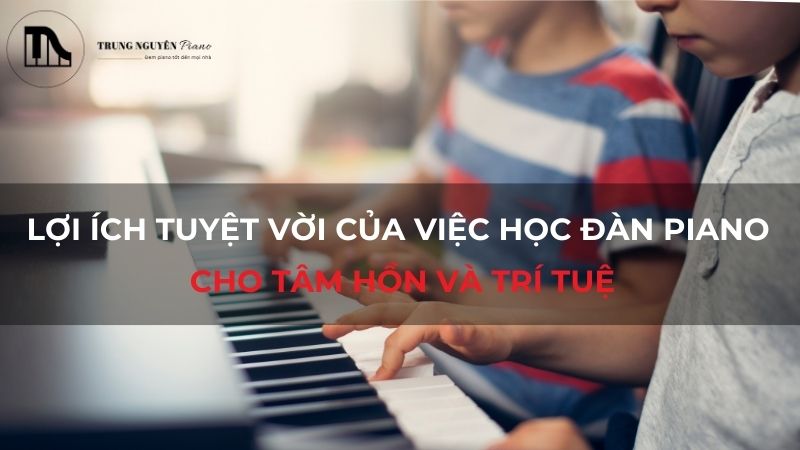 Lợi ích tuyệt vời của việc học đàn Piano cho tâm hồn và trí tuệ