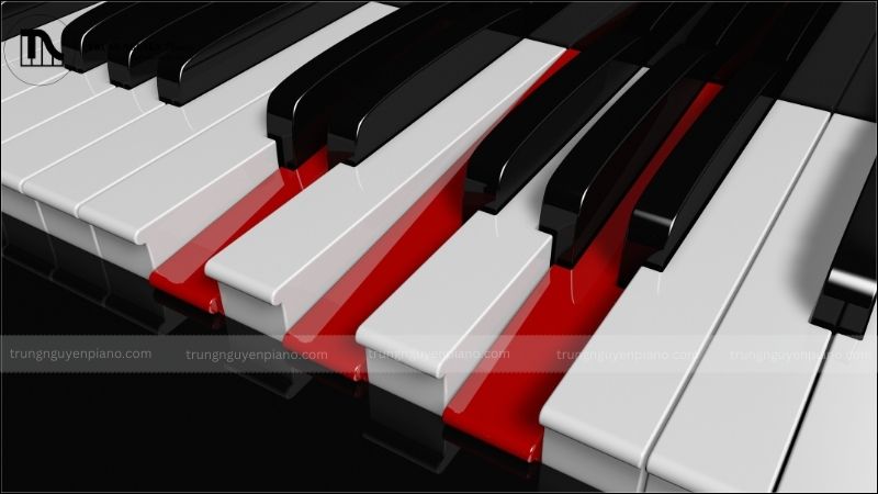 Cấu tạo của vòng tròn hợp âm