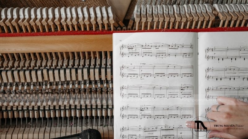 Sách học piano - Phân loại, lưu ý chọn và top 5 sách cho người tự học 7 Chất lượng sách