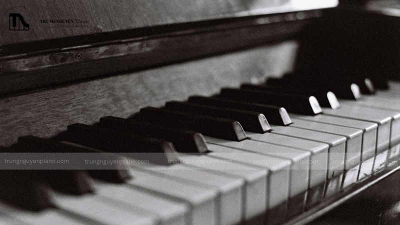 Tiêu đề Chính sách bảo hành đàn piano Korg 