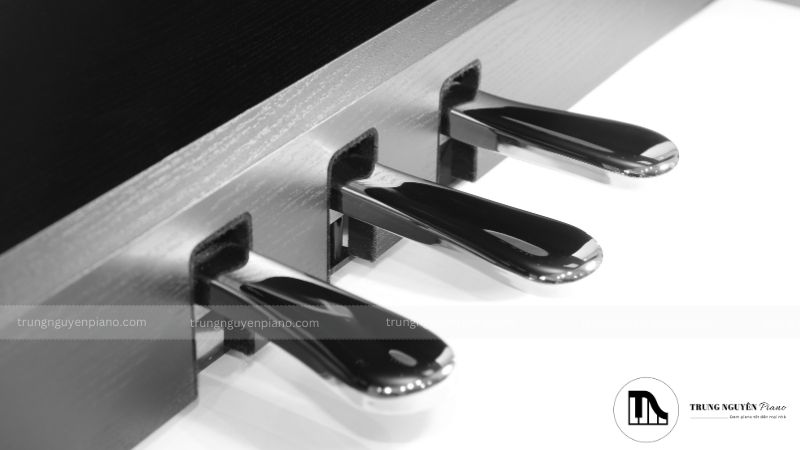 Piano Pedals là gì, dùng để làm gì và cách sử dụng chi tiết nhất 7 Chức năng của Sostenuto Pedal