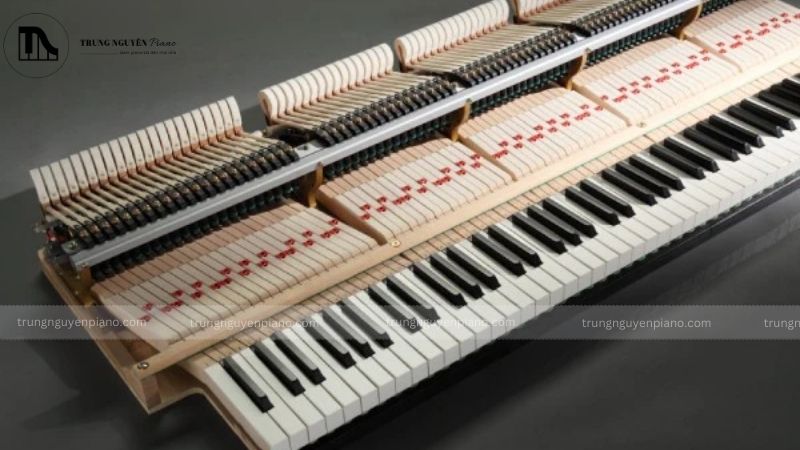 Piano Kawai có tốt không, giá bao nhiêu? Lịch sử phát triển, các dòng phổ biến 5 Công nghệ Millenium III Action-min