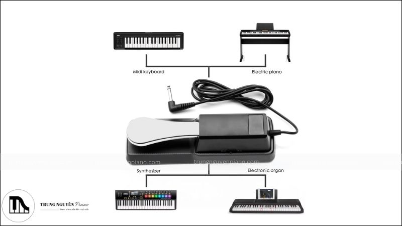 Piano Pedals là gì, dùng để làm gì và cách sử dụng chi tiết nhất 2 Damper Pedal (Sustain Pedal) - Pedal vang âm
