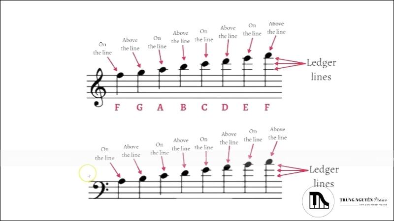 Dòng kẻ phụ (Ledger hoặc Leger lines)