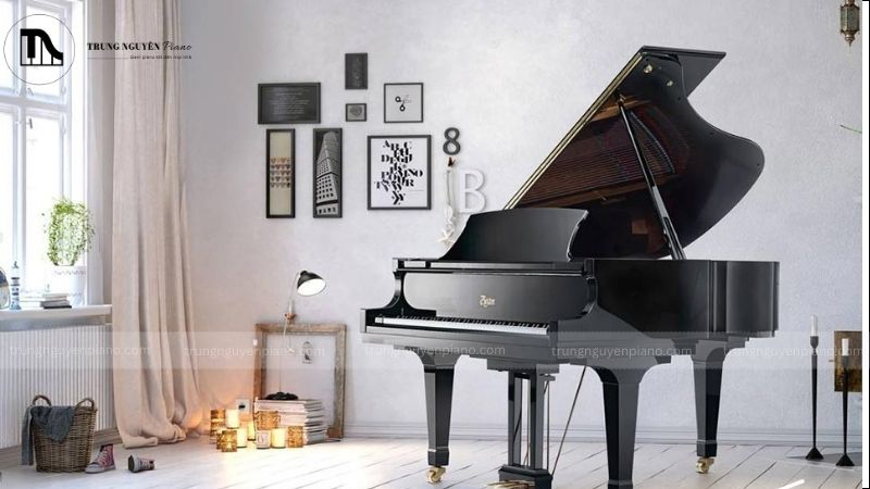 GP-178 PE II_ Âm thanh mạnh mẽ, kích thước phổ biến