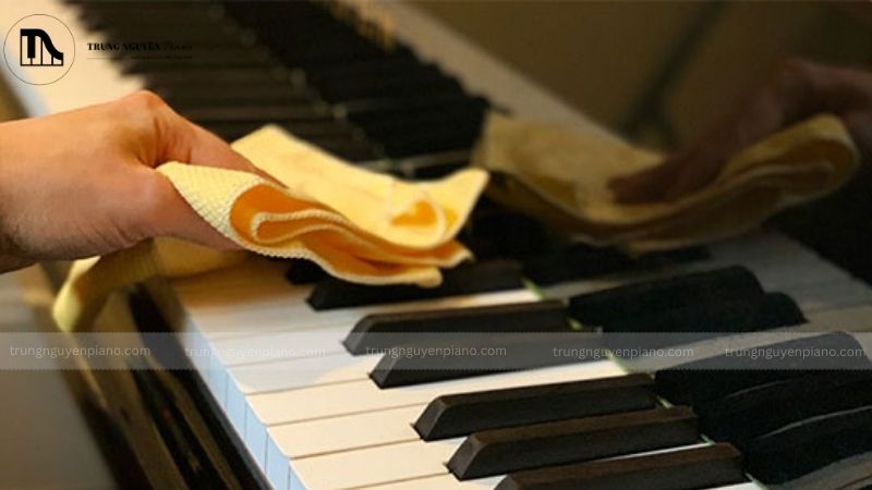 Hướng dẫn chọn mua và bảo quản đàn Piano Boston