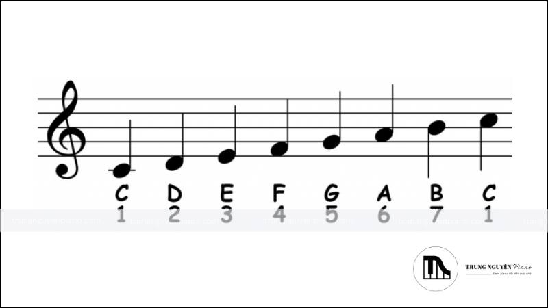 Khuông nhạc (Staff_stave) 