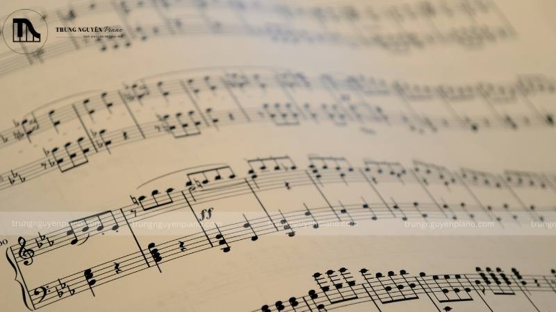 Sheet nhạc piano là gì? Định nghĩa và tầm quan trọng