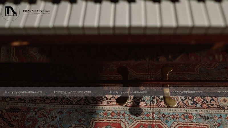 Piano Pedals là gì, dùng để làm gì và cách sử dụng chi tiết nhất 11 Ký hiệu Pedal Piano trên khuông nhạc