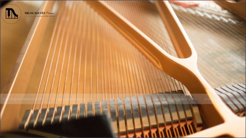 Lịch sử ra đời và sứ mệnh