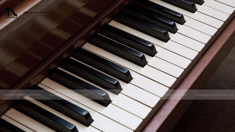 Nguồn gốc và lịch sử phát triển