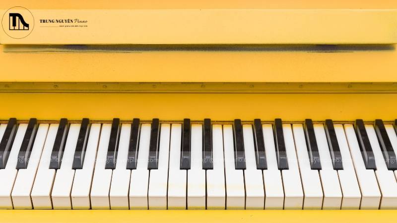 Nhịp là phần quan trọng trong việc phân chia thời gian