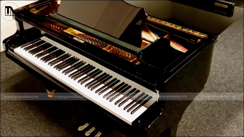 Đàn piano thương hiệu Steingraeber & Söhne