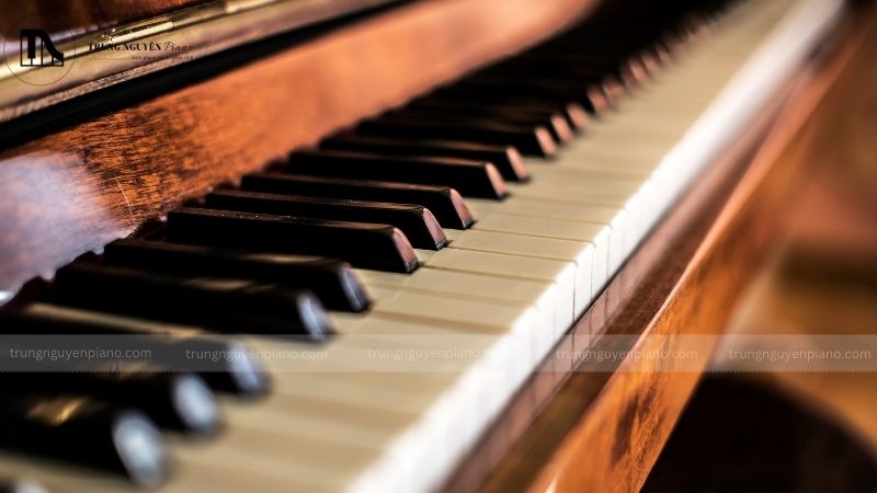 So sánh về thiết kế