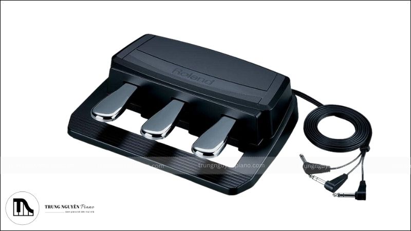 Piano Pedals là gì, dùng để làm gì và cách sử dụng chi tiết nhất 4 Sostenuto Pedal