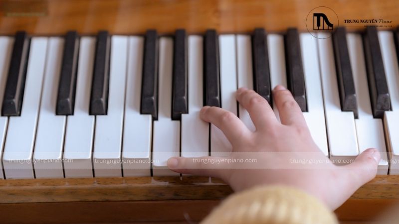 Sách học piano - Phân loại, lưu ý chọn và top 5 sách cho người tự học 13 Tai Lieu Hoc Piano Ngoai Sach In