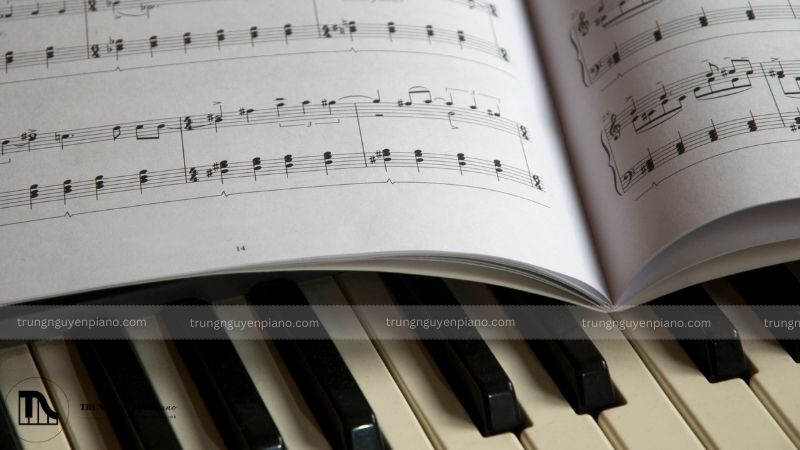Sách học piano - Phân loại, lưu ý chọn và top 5 sách cho người tự học 1 Tại sao sách học piano lại quan trọng