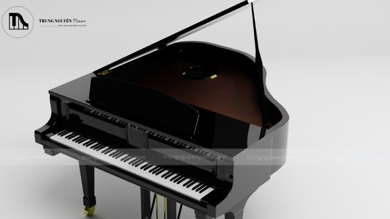 Thiết kế và kiểu dáng