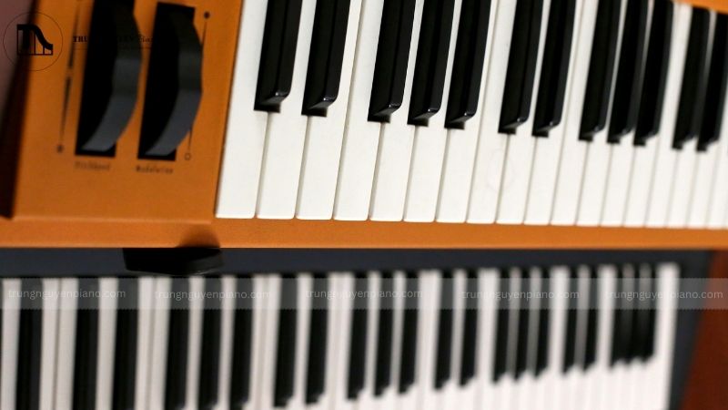 Top 03 đàn piano giá rẻ dưới 1 triệu, lựa chọn cho người mới bắt đầu 9 Tìm hiểu và nghiên cứu đàn piano giá 1 triệu