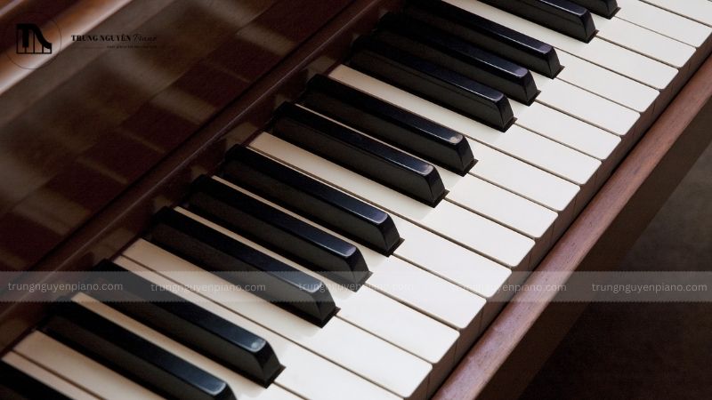 Top 03 đàn piano giá rẻ dưới 1 triệu, lựa chọn cho người mới bắt đầu 14 Tìm hiểu về chính sách trả hàng và đổi hàng
