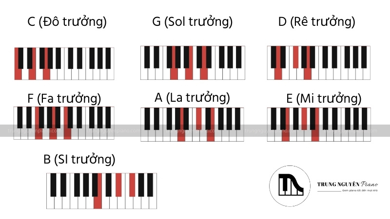 Các hợp âm trưởng