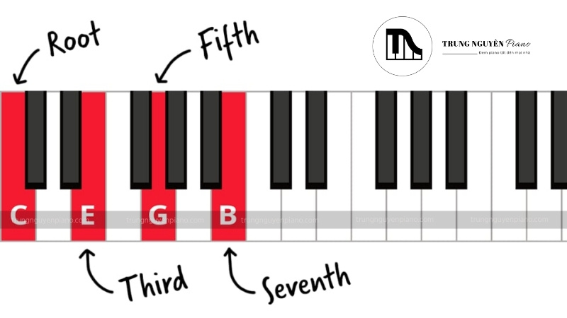 Cấu tạo của một hợp âm