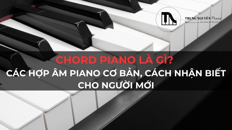 Chord piano là gì? Các hợp âm piano cơ bản, cách nhận biết cho người mới