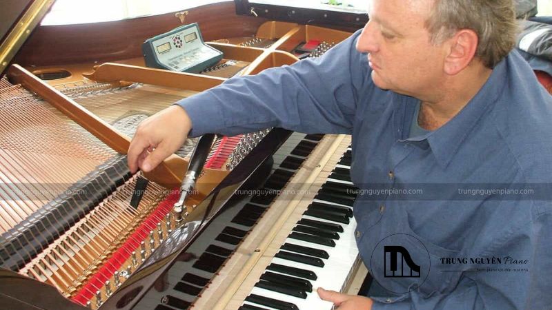 Chuẩn Bị Không Gian Và Kiểm Tra Tổng Quan Đàn