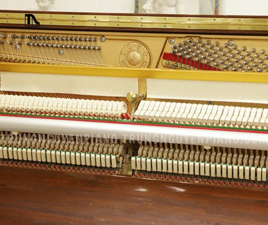 Đàn Piano Apollo A122DX 4 Đàn Piano Apollo A122DX mang đến âm thanh phong phú