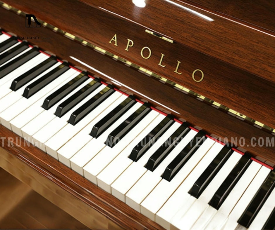 Đàn Piano Apollo A122DX 14 Đàn Piano Apollo A122DX được trang bị hệ thống 88 phím nặng