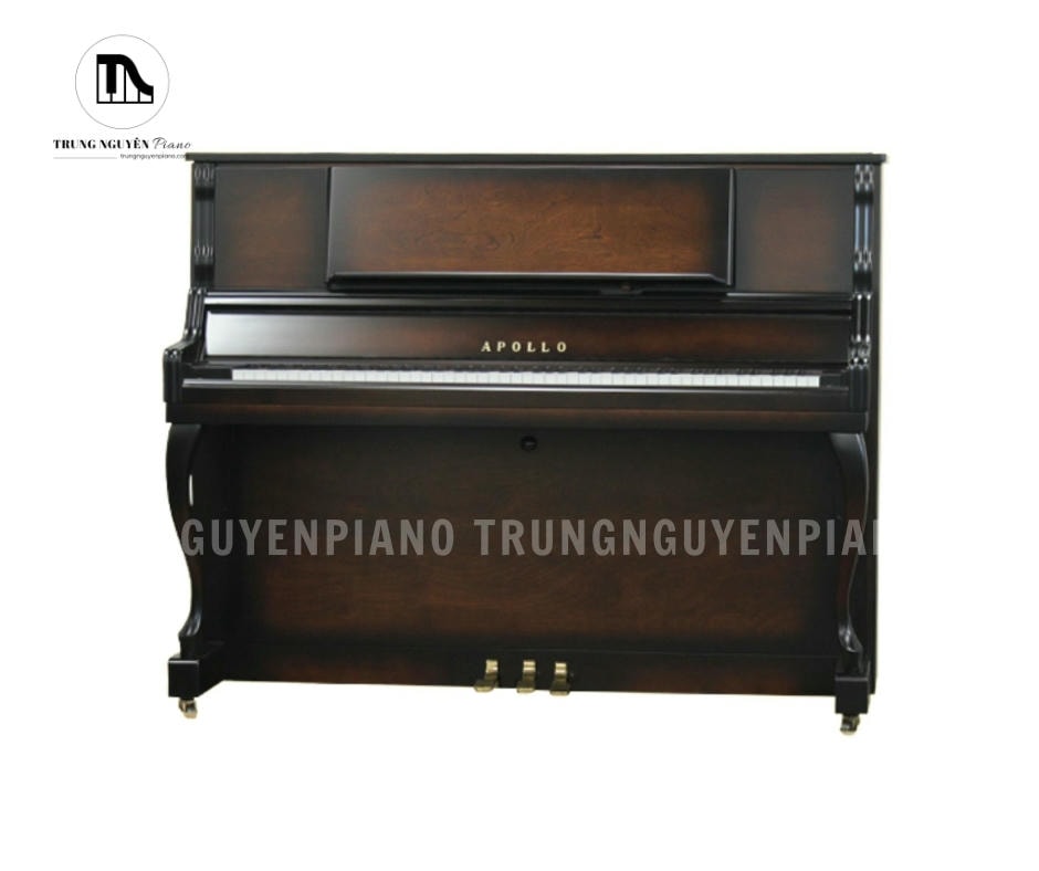 Lớp sơn hoàn thiện tỉ mỉ càng làm tăng thêm vẻ đẹp và độ bền cho cây đàn Piano Apollo AW500
