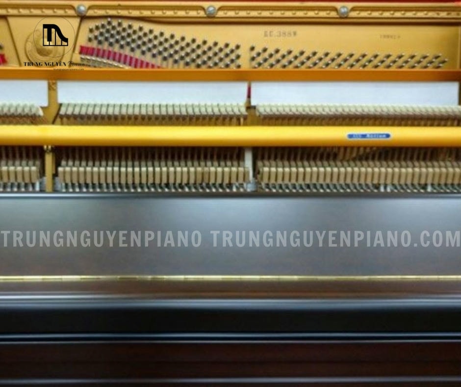 Đàn Piano Apollo RU388W 4 Đàn Piano Cơ Apollo RU388W được trang bị bộ máy cơ Renner của Đức