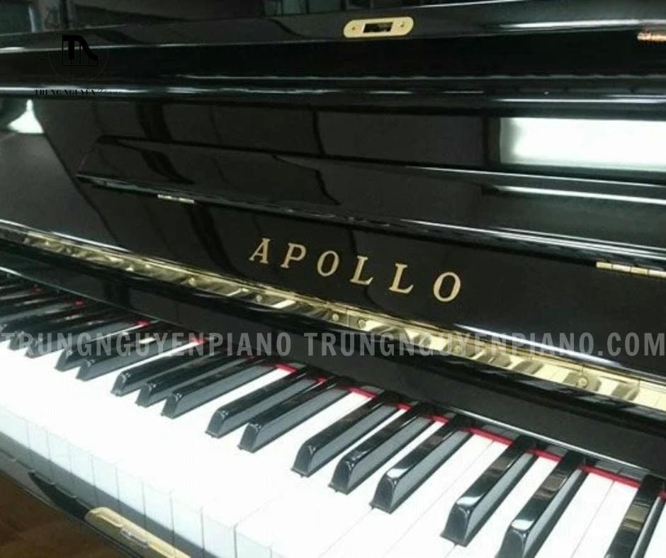 Đàn Piano Apollo SR65B sở hữu thiết kế upright piano cổ điển, với kích thước chiều rộng 153cm, chiều sâu 64.5cm và chiều cao 130cm