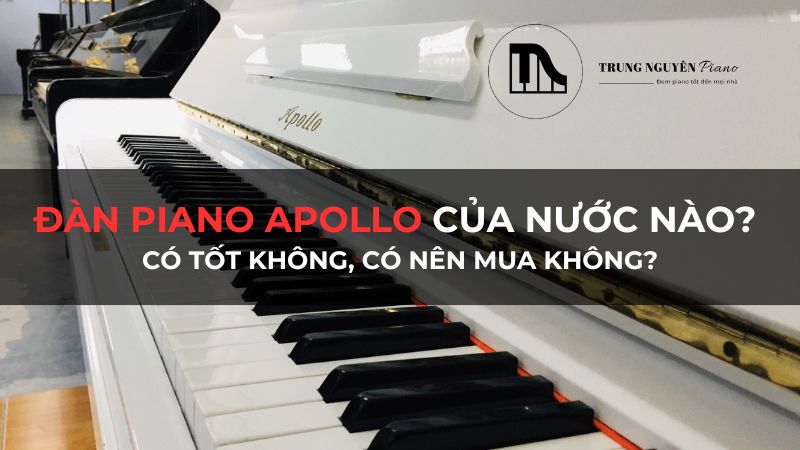 Đàn Piano Apollo của nước nào? Có tốt không, có nên mua không?