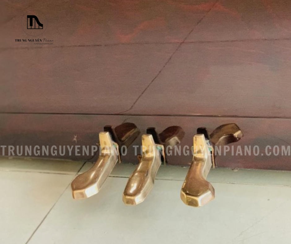 Đàn Piano Atlas A5D 3 Đàn Piano Atlas A5D trang bị hệ thống 3 pedal cao cấp