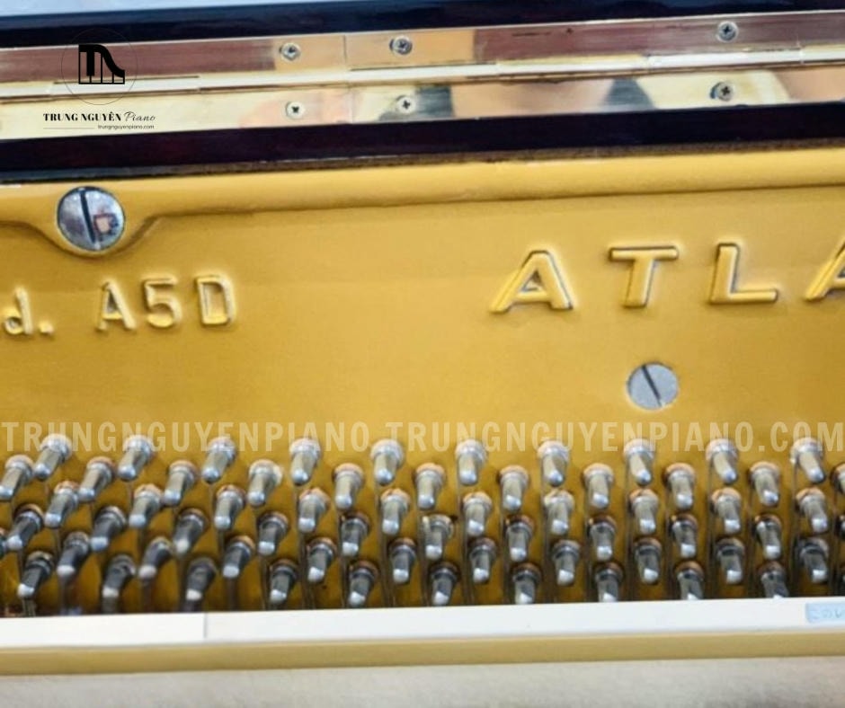 Đàn Piano Atlas A5D 4 Đàn Piano Atlas A5D mang đến âm thanh ngọt ngào, chất lượng
